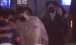 娱乐圈最新爆料文案,揭秘明星背后的惊人真相！